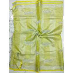 Tissue by Linen Saree with Hand Work Embroidery